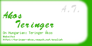 akos teringer business card